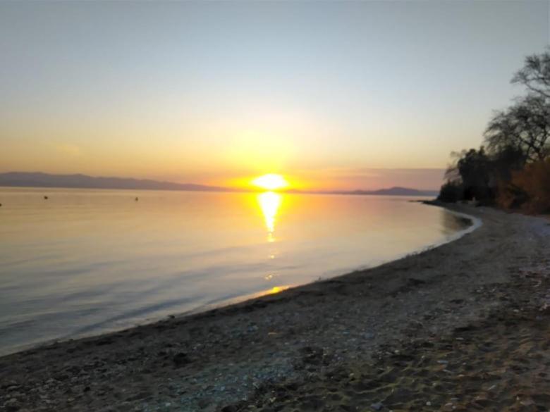 Blue Dream Koropi Pelion Milies South Pelion Daire Dış mekan fotoğraf